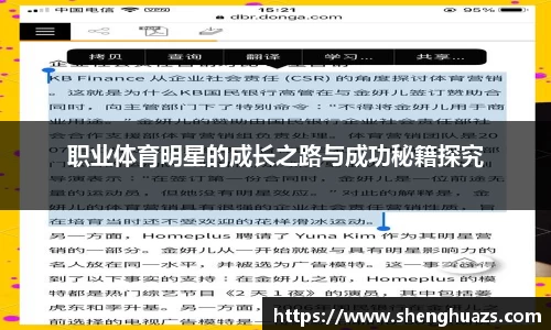 职业体育明星的成长之路与成功秘籍探究
