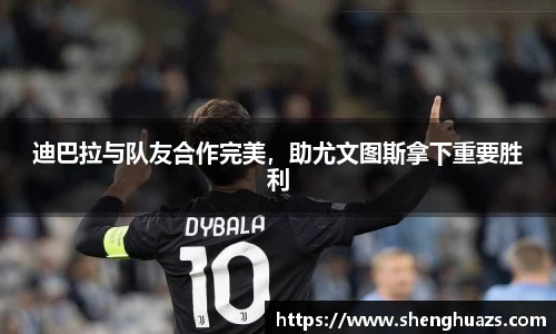 zoty中欧官网