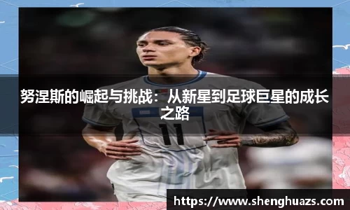 zoty中欧官网