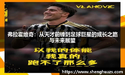弗拉霍维奇：从天才前锋到足球巨星的成长之路与未来展望