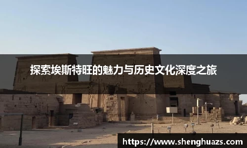 zoty中欧官网